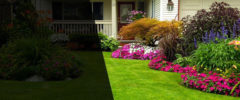 Petersburg Landscapers